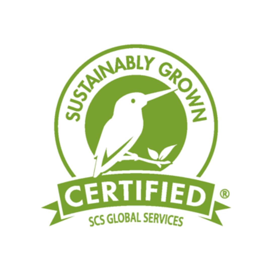 xr:d:DAFwSZtFi-0:11,j:1969603880144536458,t:23100411